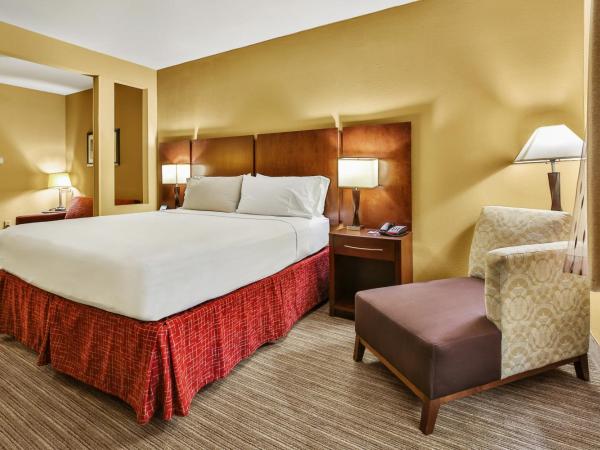 Holiday Inn Express & Suites Houston South - Near Pearland, an IHG Hotel : photo 1 de la chambre suite lit king-size avec canapé-lit