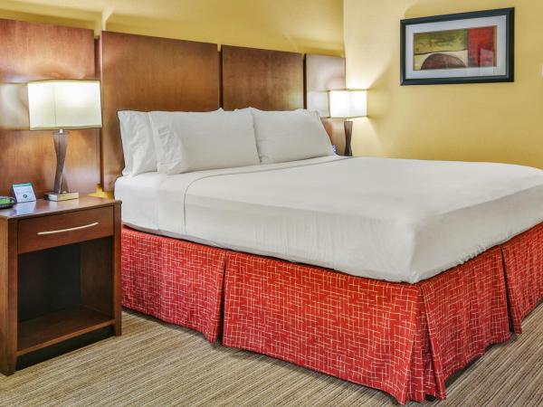 Holiday Inn Express & Suites Houston South - Near Pearland, an IHG Hotel : photo 8 de la chambre chambre standard