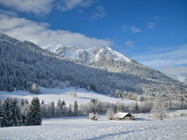 Chalet Cannelle : photo 1 de la chambre chambre double ou lits jumeaux deluxe - vue sur montagne