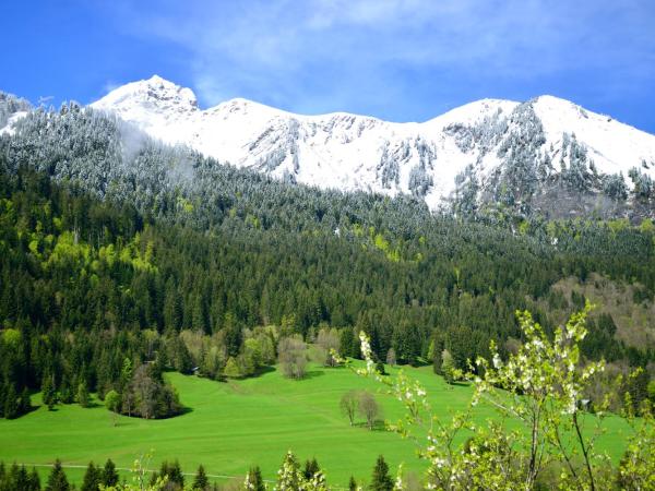 Chalet Cannelle : photo 2 de la chambre chambre double ou lits jumeaux deluxe - vue sur montagne