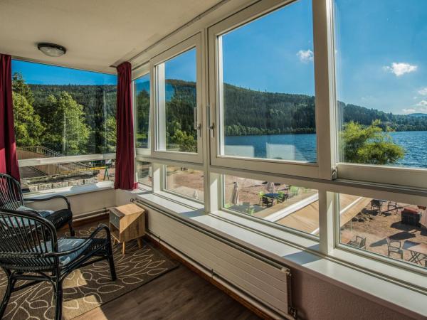 Appart'Hôtel LIDO au bord de l'eau : photo 2 de la chambre appartement confort - vue magique sur lac