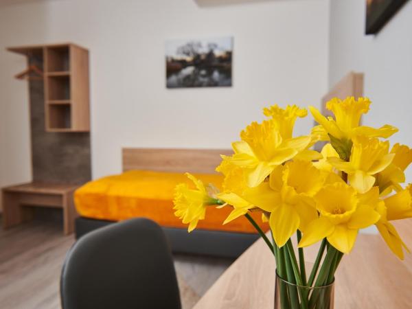 Zur Allacher Mühle : photo 1 de la chambre grande chambre simple