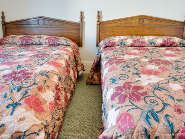 Aida Plaza Hotel : photo 2 de la chambre chambre lits jumeaux avec salle de bains privative