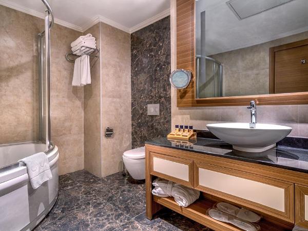 Downtown Ankara Hotel : photo 5 de la chambre suite lit king-size exécutive