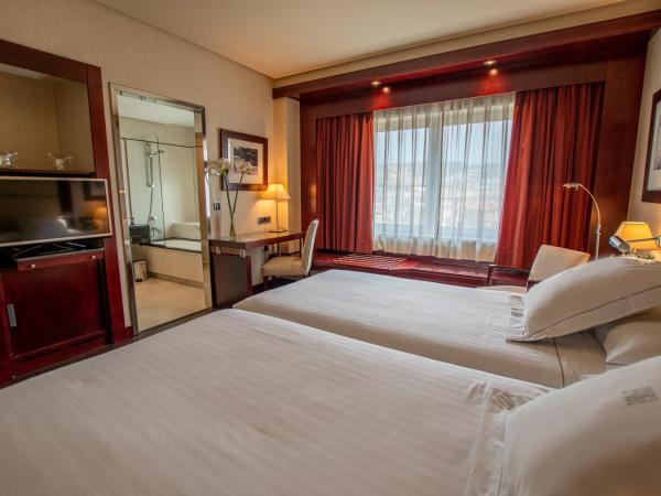 Hotel Andalucía Center : photo 9 de la chambre chambre double ou lits jumeaux (1-2 adultes)