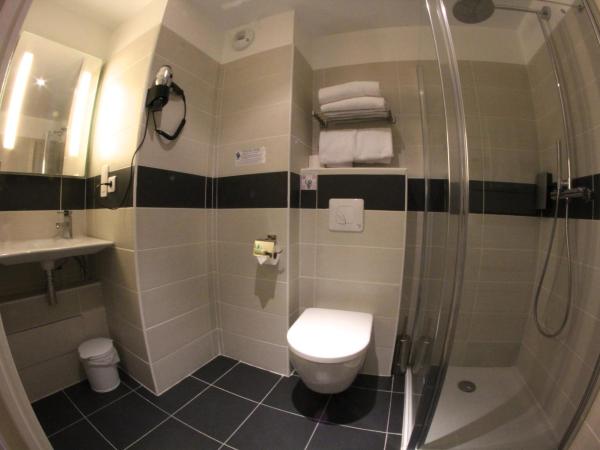 Hôtel Restaurant Splendid Camargue : photo 3 de la chambre chambre double ou lits jumeaux standard - vue sur ville