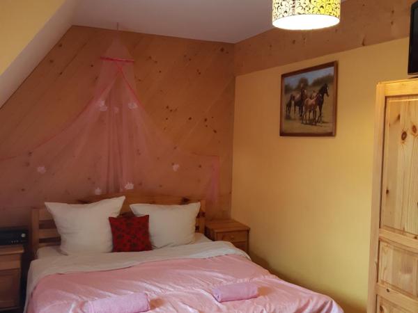 Apartamenty i pokoje gościnne Nowita : photo 2 de la chambre chambre double avec kitchenette