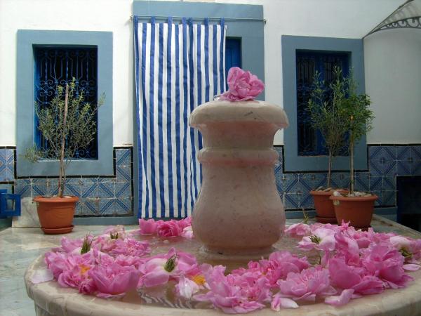 Dar Baaziz : photo 6 de la chambre suite mhamed 