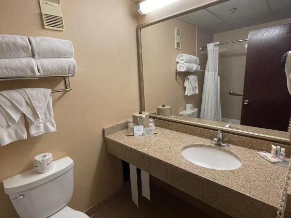 Comfort Inn Ballston : photo 9 de la chambre chambre lit king-size standard - vue sur cour