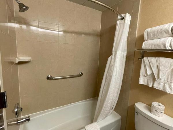 Comfort Inn Ballston : photo 8 de la chambre chambre lit king-size standard - vue sur cour