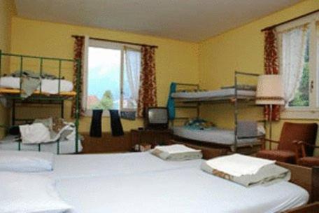 Funny Farm Backpackers : photo 1 de la chambre lit simple en dortoir