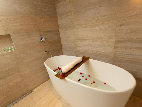 Quality Hotel Pampulha & Convention Center : photo 4 de la chambre suite royale