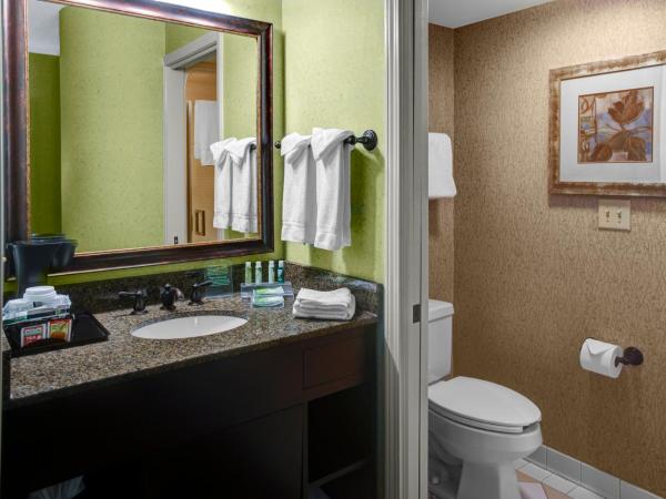Holiday Inn Express Hotel & Suites Atlanta Buckhead, an IHG Hotel : photo 5 de la chambre chambre double avec 2 lits doubles - accessible aux personnes malentendantes