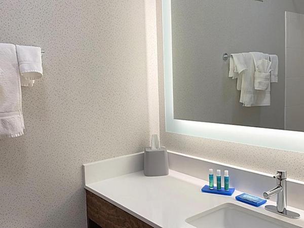 Holiday Inn Express Columbia NE - Fort Jackson : photo 1 de la chambre chambre king standard avec canapé-lit