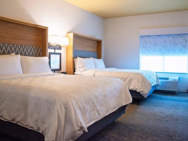 Holiday Inn & Suites - Savannah Airport - Pooler, an IHG Hotel : photo 1 de la chambre chambre standard avec 2 lits queen-size