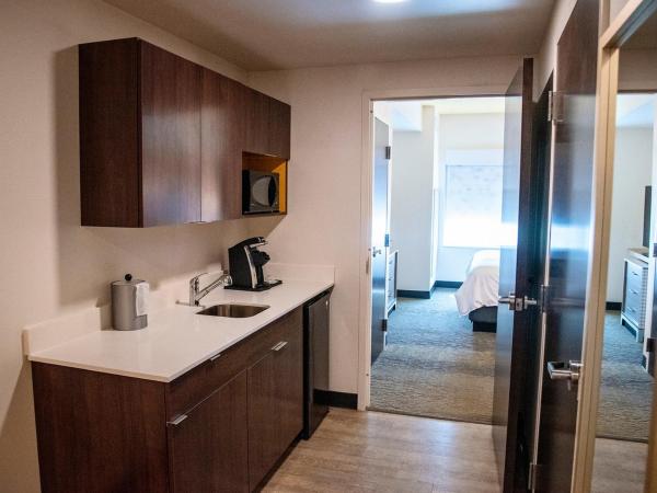 Holiday Inn & Suites - Savannah Airport - Pooler, an IHG Hotel : photo 2 de la chambre suite 1 chambre lit king-size
