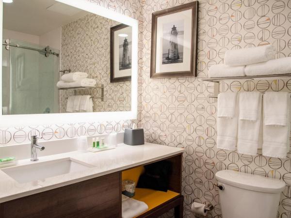 Holiday Inn & Suites - Savannah Airport - Pooler, an IHG Hotel : photo 2 de la chambre chambre lit king-size standard