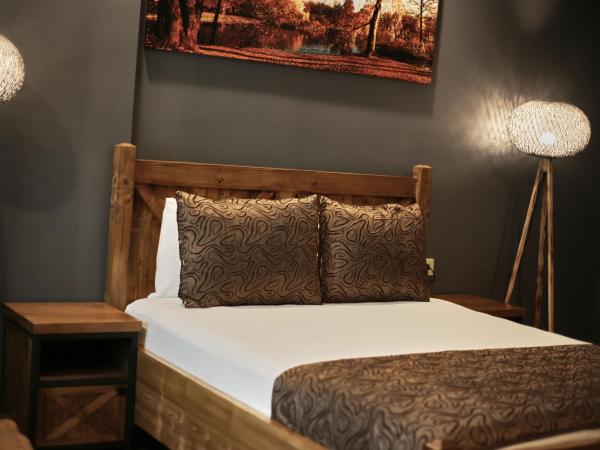 Zengin City Hotel : photo 8 de la chambre chambre double supérieure