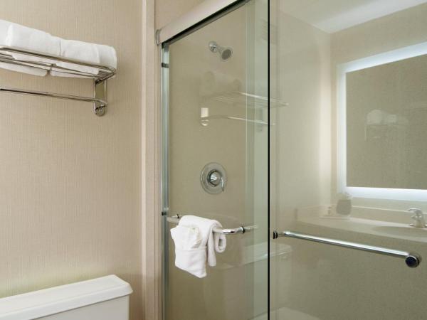 Holiday Inn Nashville Vanderbilt, an IHG Hotel : photo 5 de la chambre chambre lit king-size exécutive