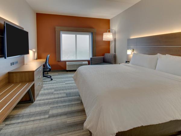 Holiday Inn Express & Suites - Nashville MetroCenter Downtown, an IHG Hotel : photo 5 de la chambre chambre standard