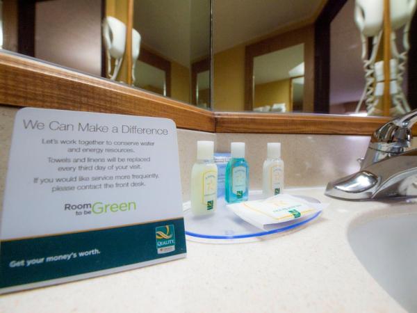 Quality Inn Colorado Springs South : photo 2 de la chambre chambre lit king-size - non-fumeurs