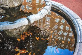 Warwick Melrose Hotel : photo 1 de la chambre room #5662021