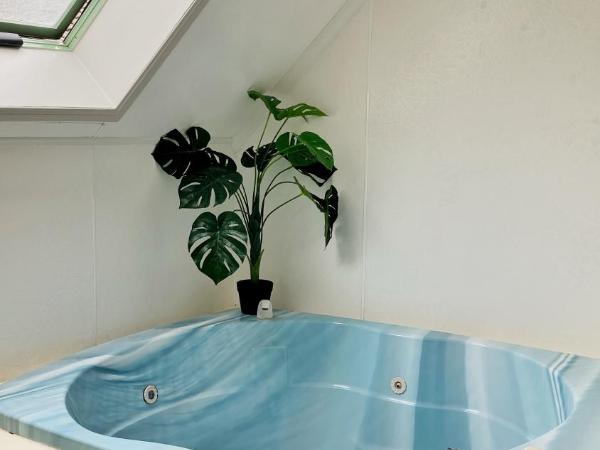 Rotorua Coachman Spa Motel : photo 10 de la chambre studio confort avec bain à remous