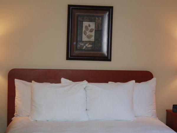 University of Alberta - Hotel : photo 1 de la chambre chambre standard lit queen-size