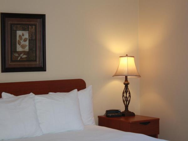 University of Alberta - Hotel : photo 3 de la chambre chambre standard lit queen-size