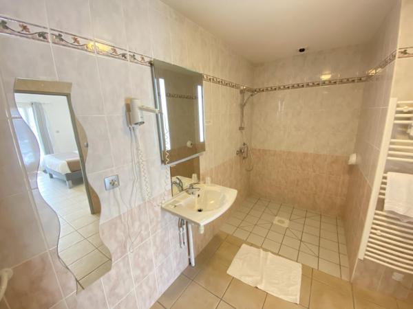 Logis Hôtel L'Oliveraie : photo 3 de la chambre chambre double - accessible aux personnes à mobilité réduite 