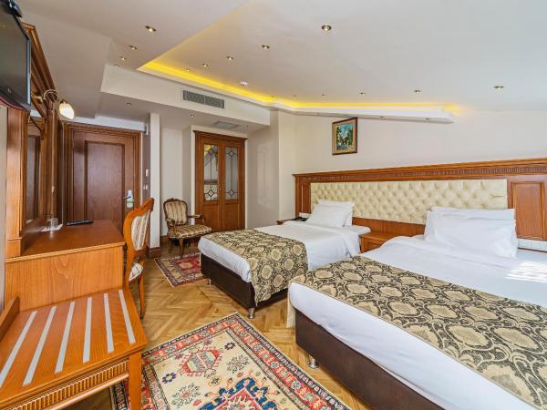 Hotel Spectra Sultanahmet : photo 1 de la chambre chambre lits jumeaux standard