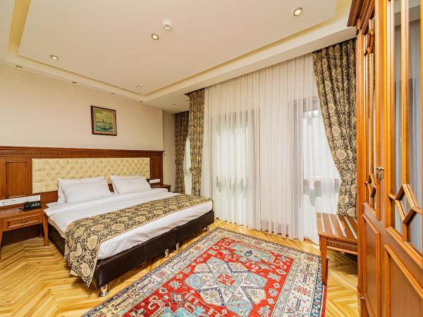 Hotel Spectra Sultanahmet : photo 2 de la chambre chambre double standard