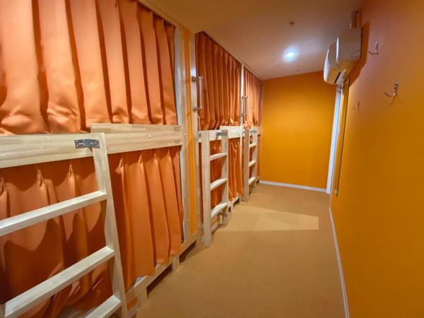 Hostel Anchorage : photo 3 de la chambre lit superposé dans dortoir pour femmes