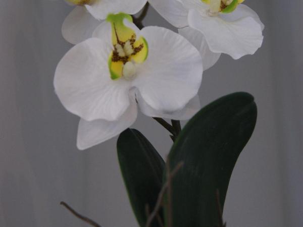 Hotel Schweizerhof : photo 9 de la chambre chambre simple