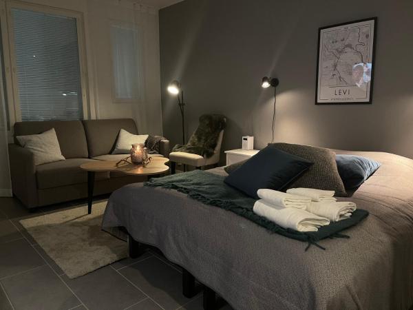 Hotel Lost in Levi : photo 10 de la chambre superior studio - private sauna 