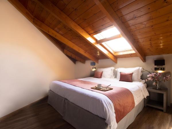 Akti Hotel Ioannina : photo 2 de la chambre hébergement exécutif mansardé
