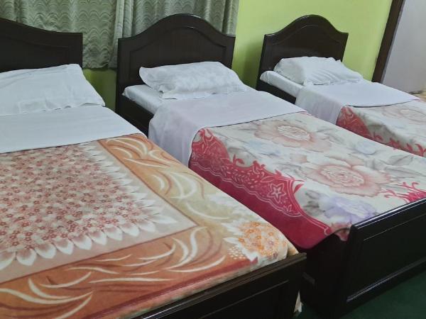 New Pokhara Lodge - Pokhara Lakeside : photo 1 de la chambre chambre familiale avec salle de bains privative