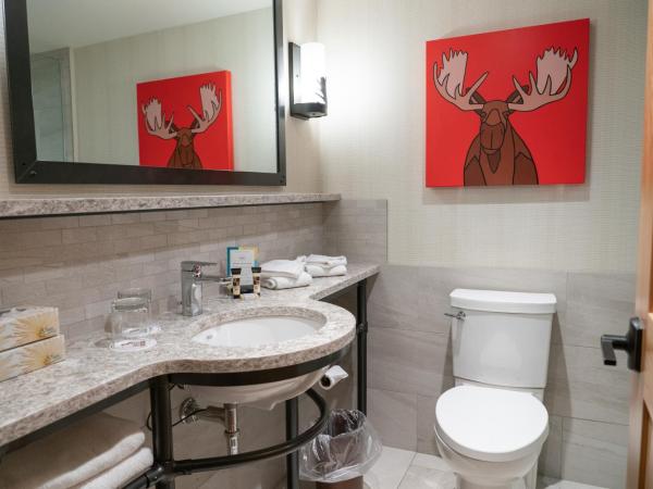 Moose Hotel and Suites : photo 6 de la chambre chambre supérieure avec 2 lits queen-size