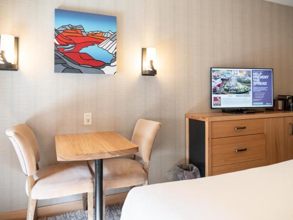 Moose Hotel and Suites : photo 4 de la chambre chambre supérieure avec 2 lits queen-size