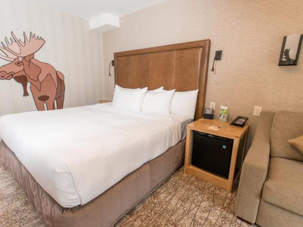 Moose Hotel and Suites : photo 3 de la chambre chambre lit king-size supérieure