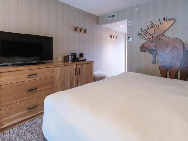 Moose Hotel and Suites : photo 6 de la chambre chambre lit king-size supérieure
