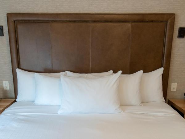 Moose Hotel and Suites : photo 7 de la chambre suite 1 chambre lit king-size