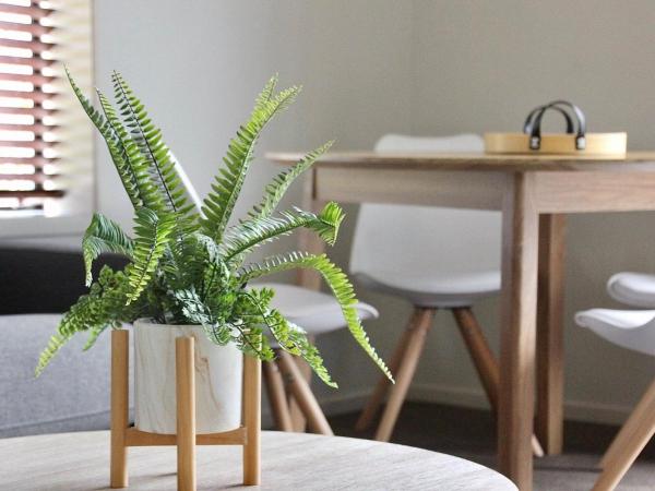 Alpine Lake Motel : photo 9 de la chambre suite de luxe avec baignoire spa privée