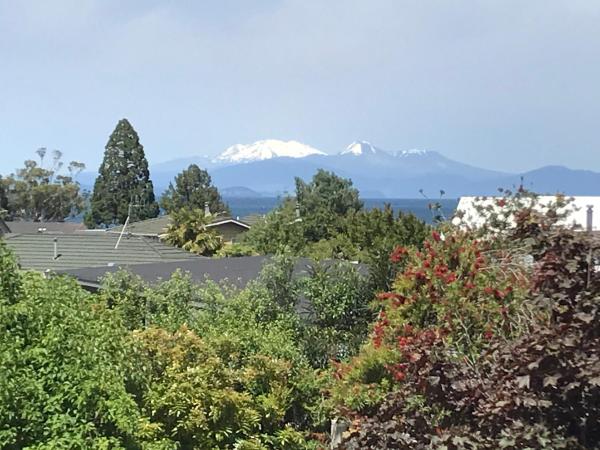 Alpine Lake Motel : photo 7 de la chambre suite - vue sur montagne