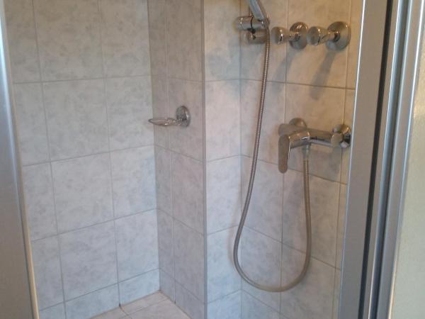 Landhotel Waldschänke : photo 2 de la chambre appartement avec douche