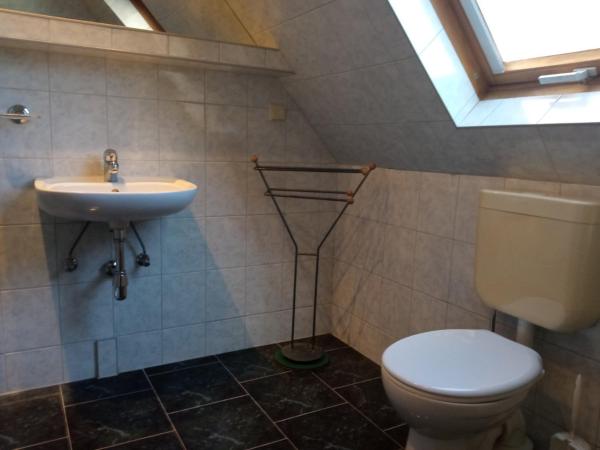 Landhotel Waldschänke : photo 4 de la chambre appartement avec douche