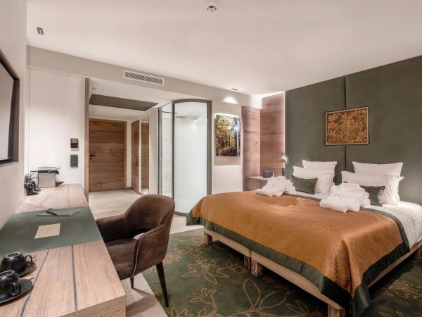 Rivage Hôtel & Spa Annecy : photo 4 de la chambre chambre double sans balcon - accès gratuit au spa