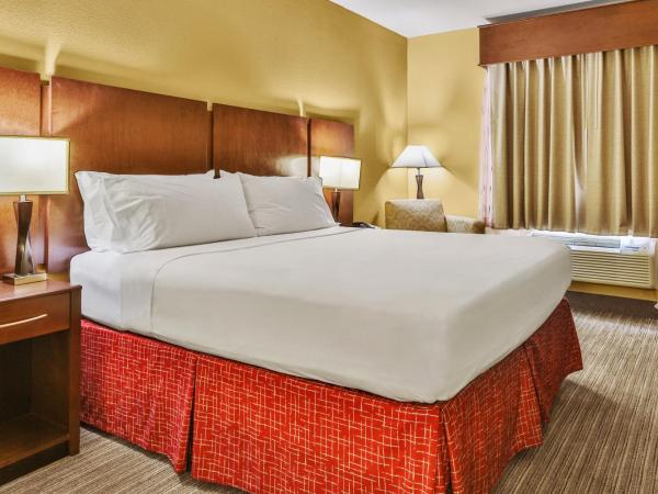 Holiday Inn Express & Suites Houston South - Near Pearland, an IHG Hotel : photo 7 de la chambre chambre lit king-size