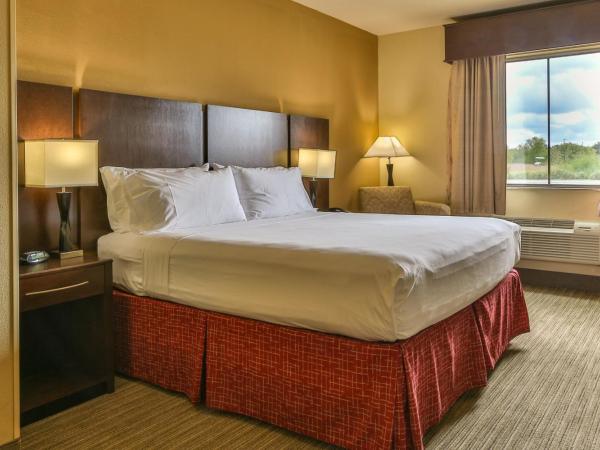 Holiday Inn Express & Suites Houston South - Near Pearland, an IHG Hotel : photo 3 de la chambre suite lit king-size avec canapé-lit