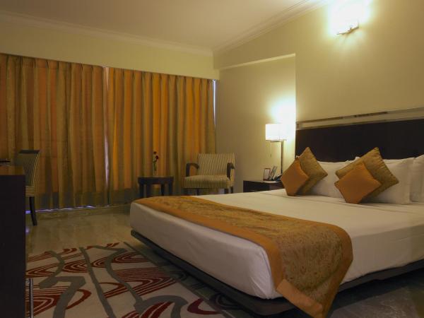 The Wall Street Beacon, Jaipur : photo 5 de la chambre suite